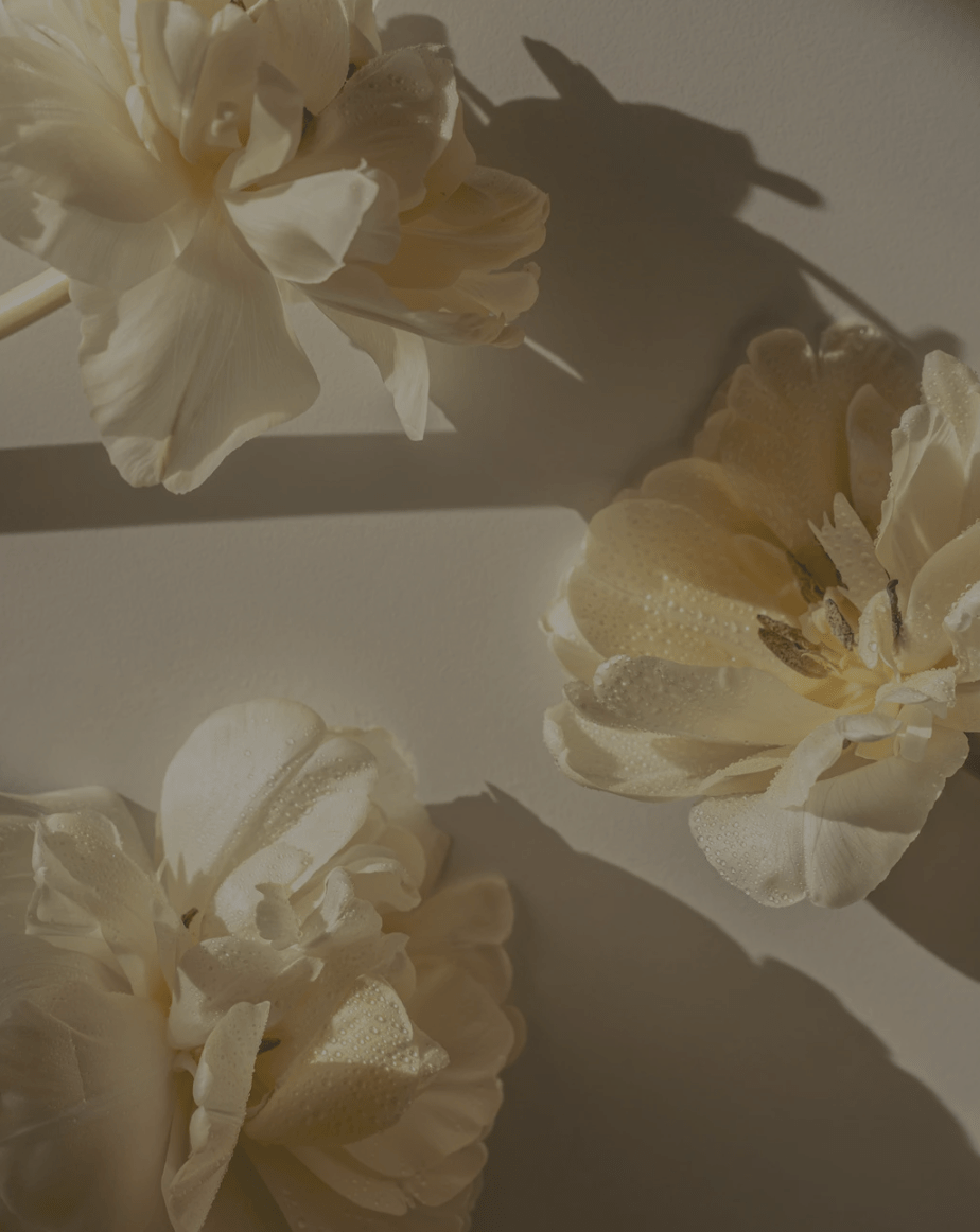 Tiny Ways I’m Choosing Peace Over Pressure&nbsp;Lately