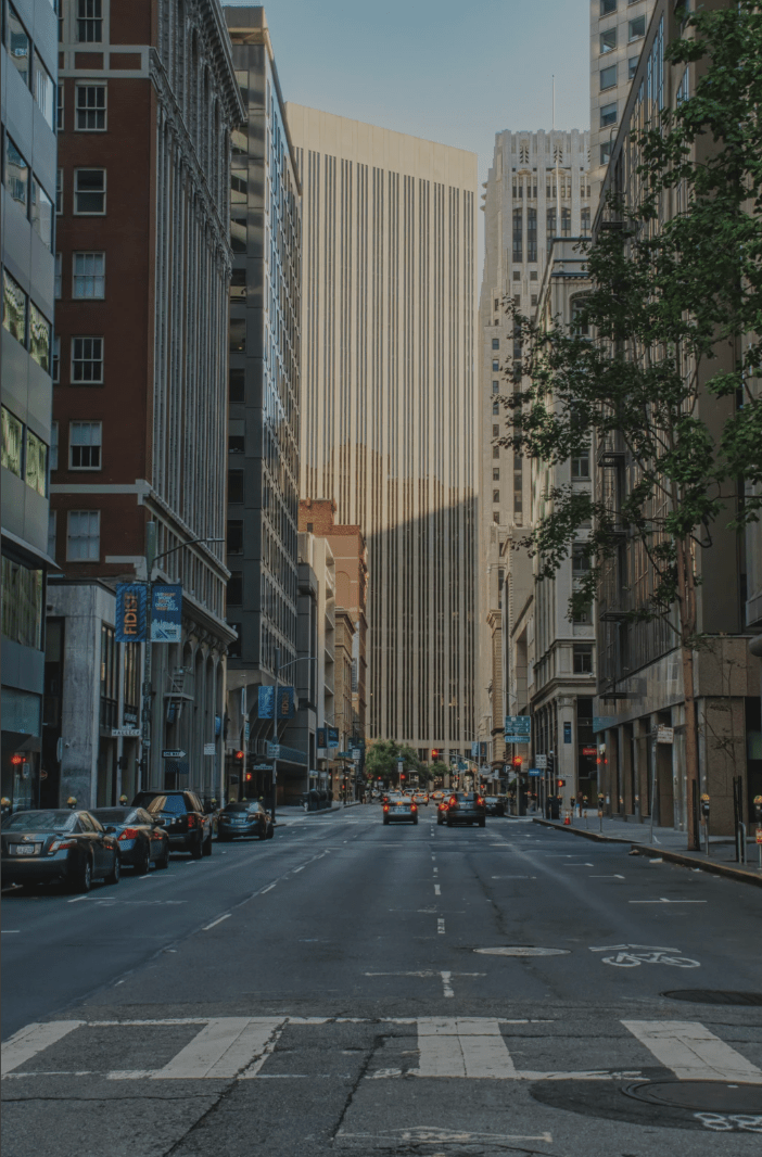 The Power of Shedding: Preparing for 2026